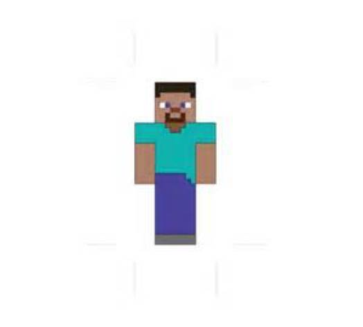 Steve is about minecraft