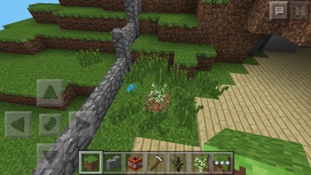 My saplings in minecraft pe won t grow