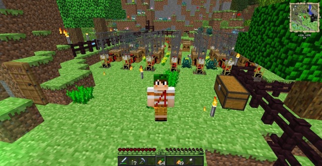 Want to play Minecraft on a server server